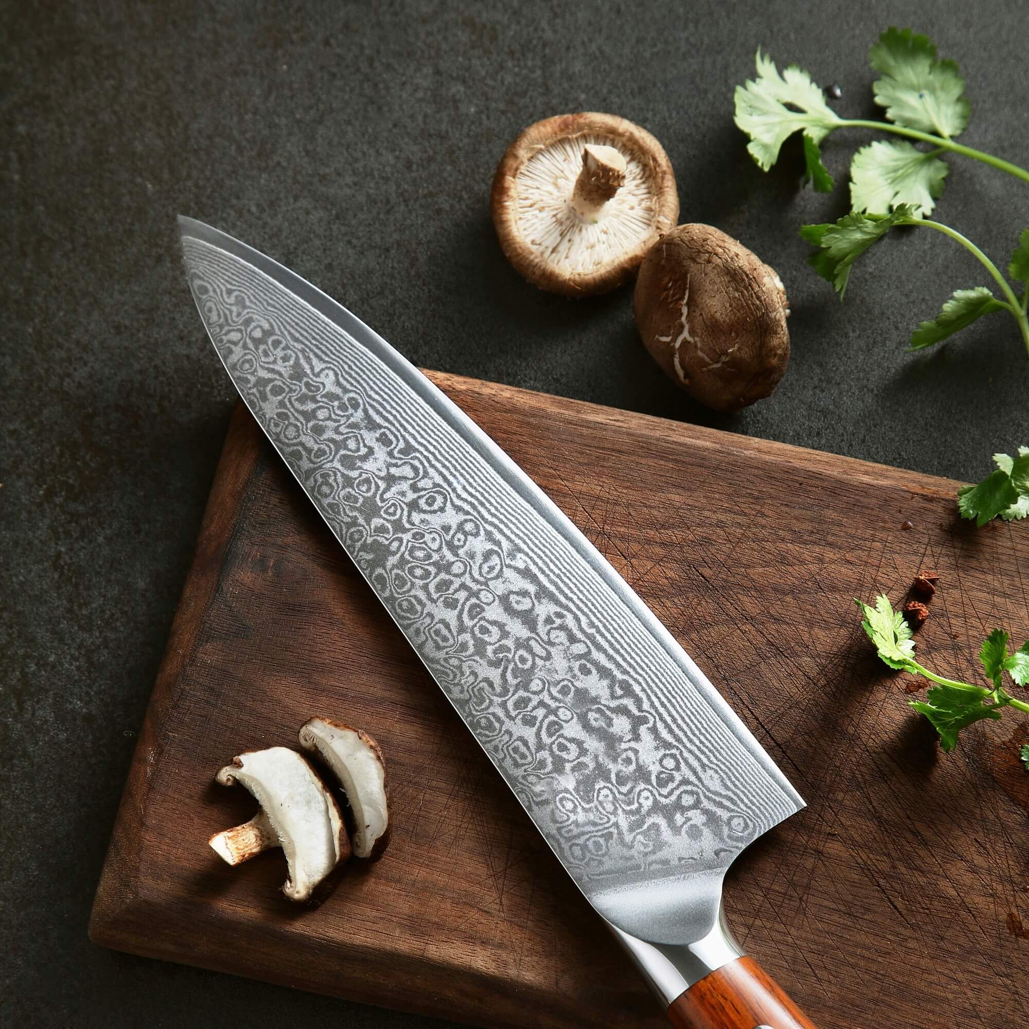 North Gyuto Kokkekniv 210 mm. - Kitchen Knives - North Gyuto Kokkekniv 210 mm. - Cuisine Lab
